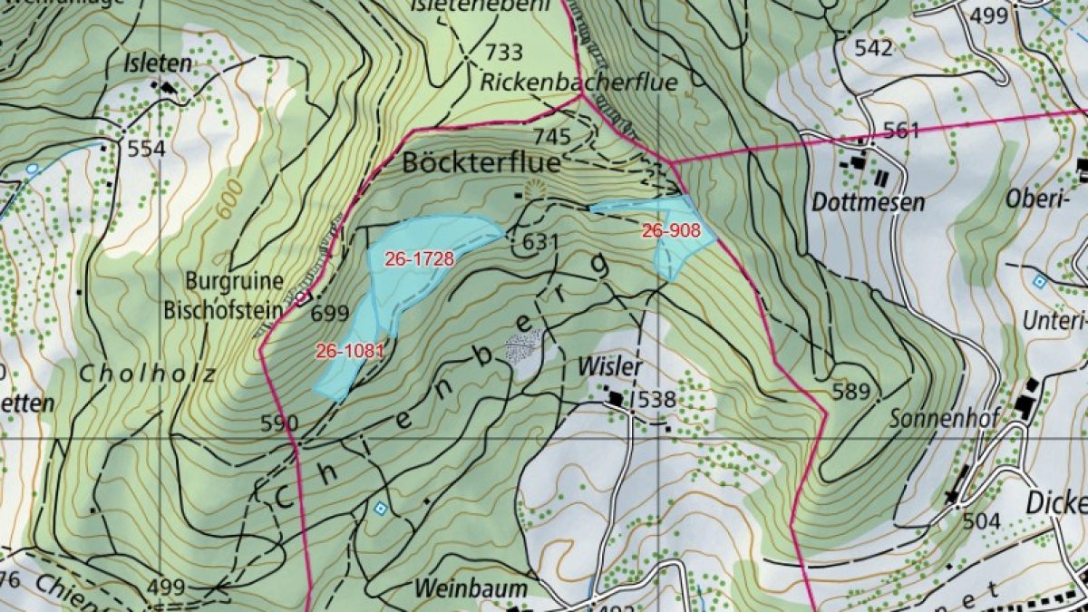 Holzschläge Böckten