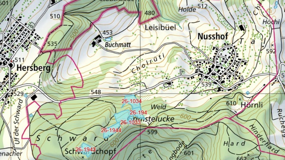 Holzschläge Nusshof