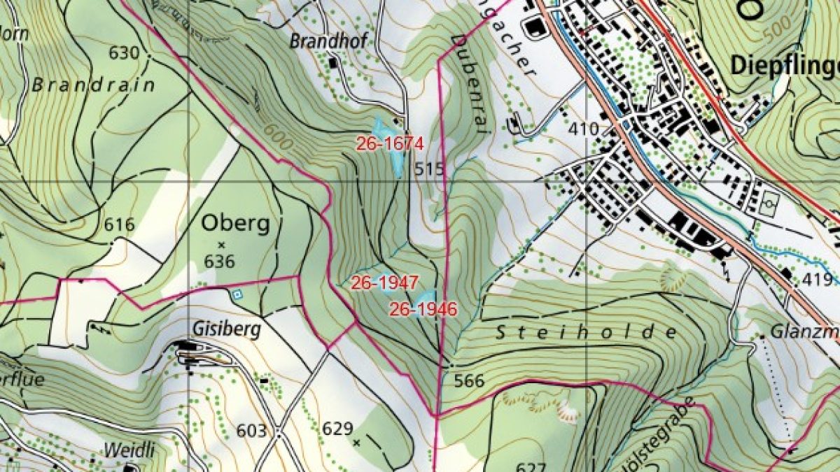 Holzschläge Thürnen